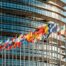 fallimento unione europea